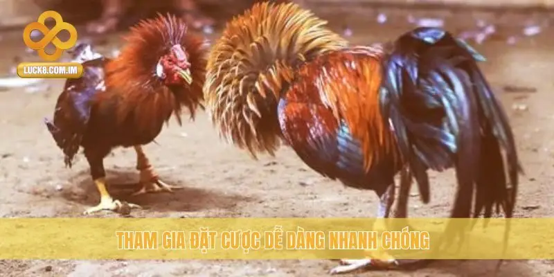 Tham gia đặt cược dễ dàng nhanh chóng