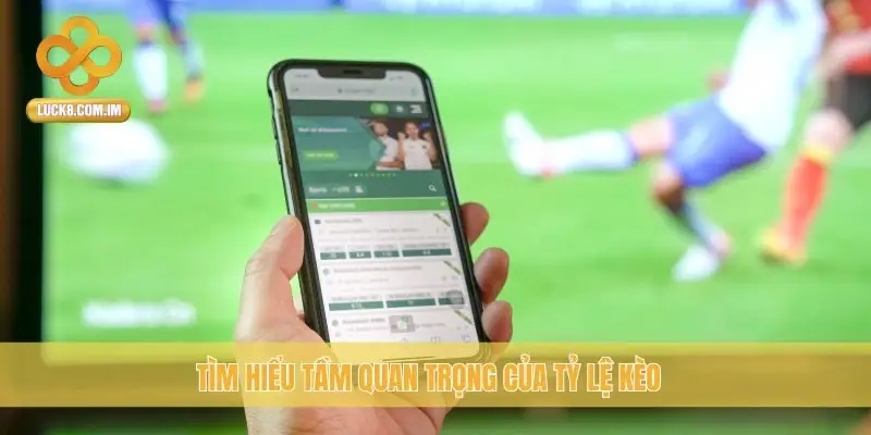 Tìm hiểu tầm quan trọng của tỷ lệ kèo
