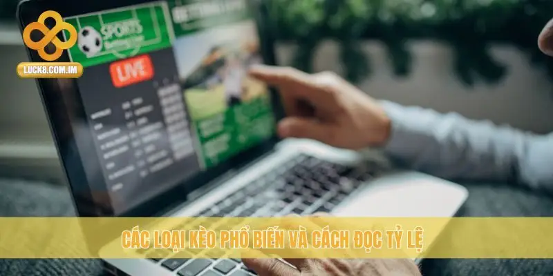 Các loại kèo phổ biến và cách đọc tỷ lệ